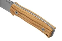 Lionsteel M4 Olive MagnaCut M4-MC-UL, Knivesandtools Exclusive, Fixed Knife -Knives Shop LI M4 MC UL 04 lionsteel