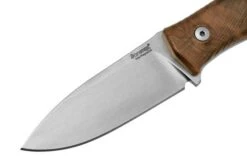 Lionsteel M4 Walnut MagnaCut M4-MC-WN, Knivesandtools Exclusive, Fixed Knife 8 Lionsteel M4 Walnut MagnaCut M4-MC-WN, Knivesandtools Exclusive, Fixed Knife -Knives Shop LI M4 MC WN 03 lionsteel