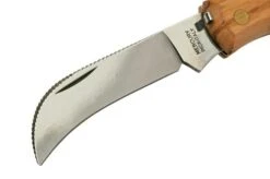 Mercury Mico 1 9M1UP Olive Wood, Mushroom Knife -Knives Shop MY9M1UP 03 mercury