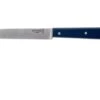 Opinel Table Knife Bon Appétit, N°125, Blue