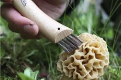 Opinel Mushroom Knife N ° 08 13 Opinel Mushroom Knife N ° 08 -Knives Shop OP08 06 opinel champignonmes op08 08