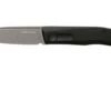 Real Steel Stella Black Canvas Micarta 7055 Knivesandtools Exclusive Pocket Knife, Poltergeist Design